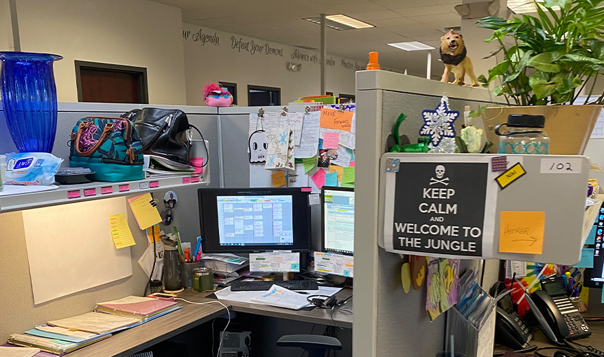 Cubicle with keep calm welcome to the jungle sign