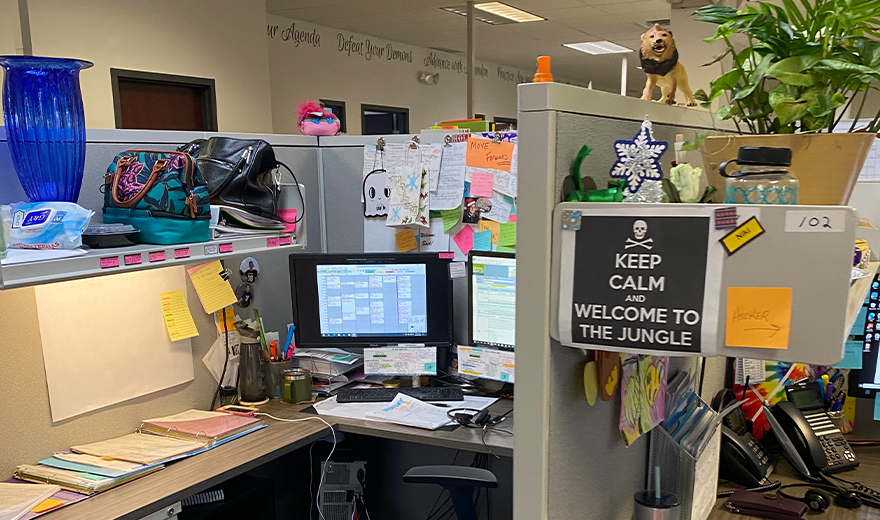 Cubicle with keep calm welcome to the jungle sign