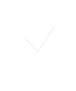Animated shield with check mark